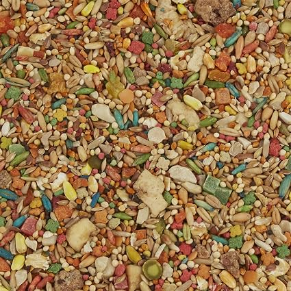 FM Browns Tropical Carnival Gourmet Parakeet Food – 2 lb -907 g 1x6
