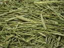 FM Browns Tropical Carnival Natural Behaviors Timothy Hay – 96 oz (2.72 kg) 1x2