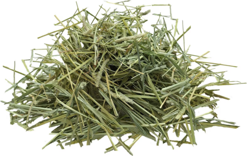 FM Browns Tropical Carnival Natural Behaviors Timothy Hay – 240 oz (6.80 kg) 1x3