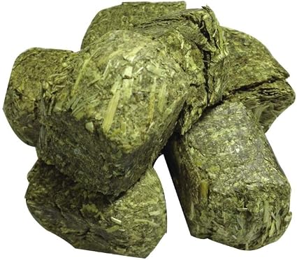 FM Browns Tropical Carnival Natural Behaviors Alfalfa Cravins Timothy Hay Cubes – 10 oz (283 g) 1x8