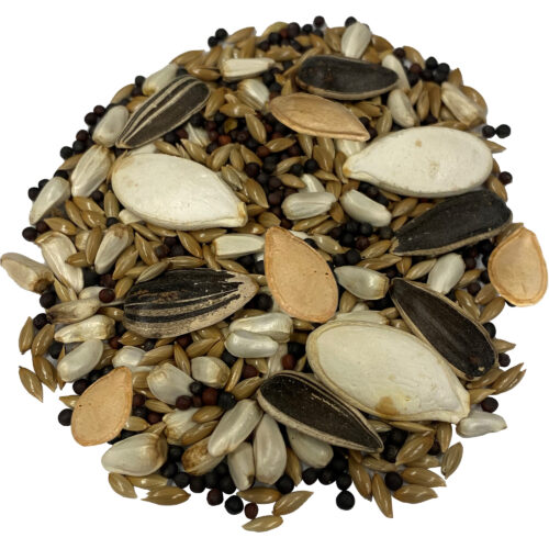FM Browns Tropical Carnival Natural Select Seeds Small Animal Treat – 3.5 oz (99 g) 1x8
