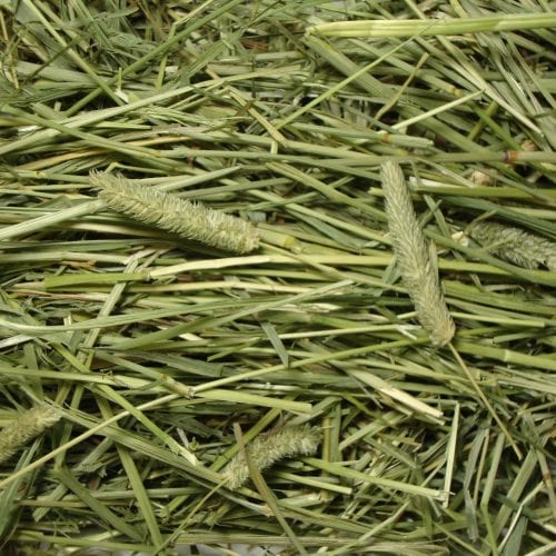 FM Browns Extreme Natural Botanical Hay – 24 oz (680 g) 1x6