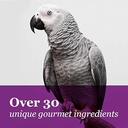 FM Browns Tropical Carnival Gourmet Macaw Food – Big Bites – 5 lb (2.27 kg) 1x6