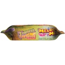 FM Browns Tropical Carnival Melody Mix Small Bird Treat – 5 oz (141 g) 1x13
