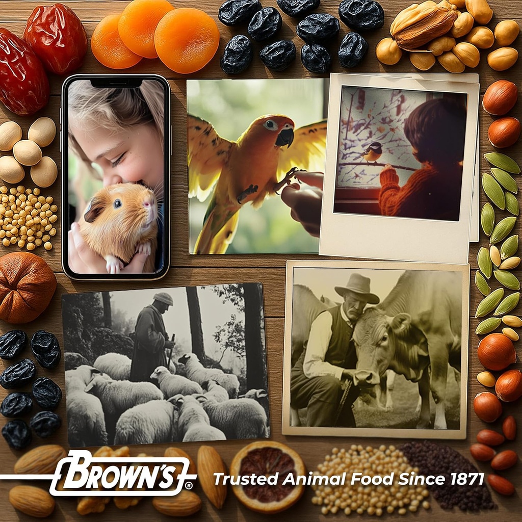 FM Browns Tropical Carnival Gourmet Cockatiel, Lovebird & Conure Food – 3 lb (1.36 kg) 1x6