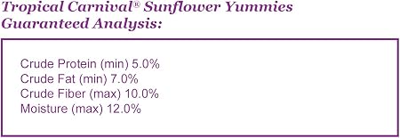 FM Browns Tropical Carnival Sunflower Yummies Bird Treat – 3.5 oz (99 g) 1x8