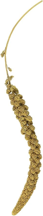 FM Browns Tropical Carnival Golden Millet Spray – 5 lb (2.27 kg) 1x1