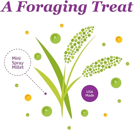 FM Browns Tropical Carnival Natural Mini Spray Millet Bird Treat – 4 oz (113 g) 1x24