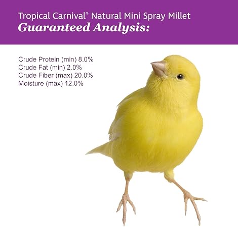 FM Browns Tropical Carnival Natural Mini Spray Millet Bird Treat – 4 oz (113 g) 1x24