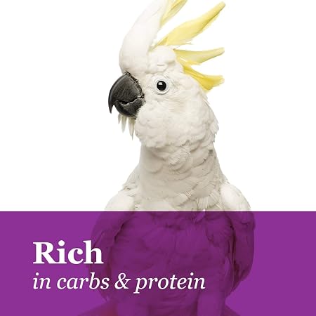 FM Browns Tropical Carnival Natural Mini Spray Millet Bird Treat – 4 oz (113 g) 1x24