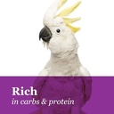 FM Browns Tropical Carnival Natural Mini Spray Millet Bird Treat – 4 oz (113 g) 1x24
