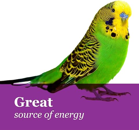 FM Browns Tropical Carnival Natural Mini Spray Millet Bird Treat – 4 oz (113 g) 1x24
