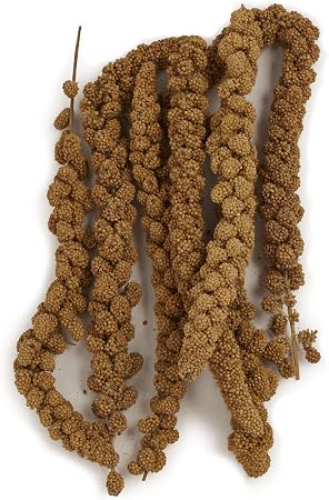 FM Browns Tropical Carnival Natural Spray Millet Bird Treat – 4 oz (113 g) 1x24