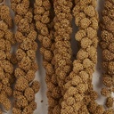 FM Browns Tropical Carnival Natural Spray Millet Bird Treat – 4 oz (113 g) 1x24