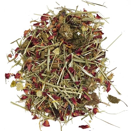FM Browns Tropical Carnival Natural Behaviors Guinea Pig Food – 4 lb (1.81 kg) 1x3