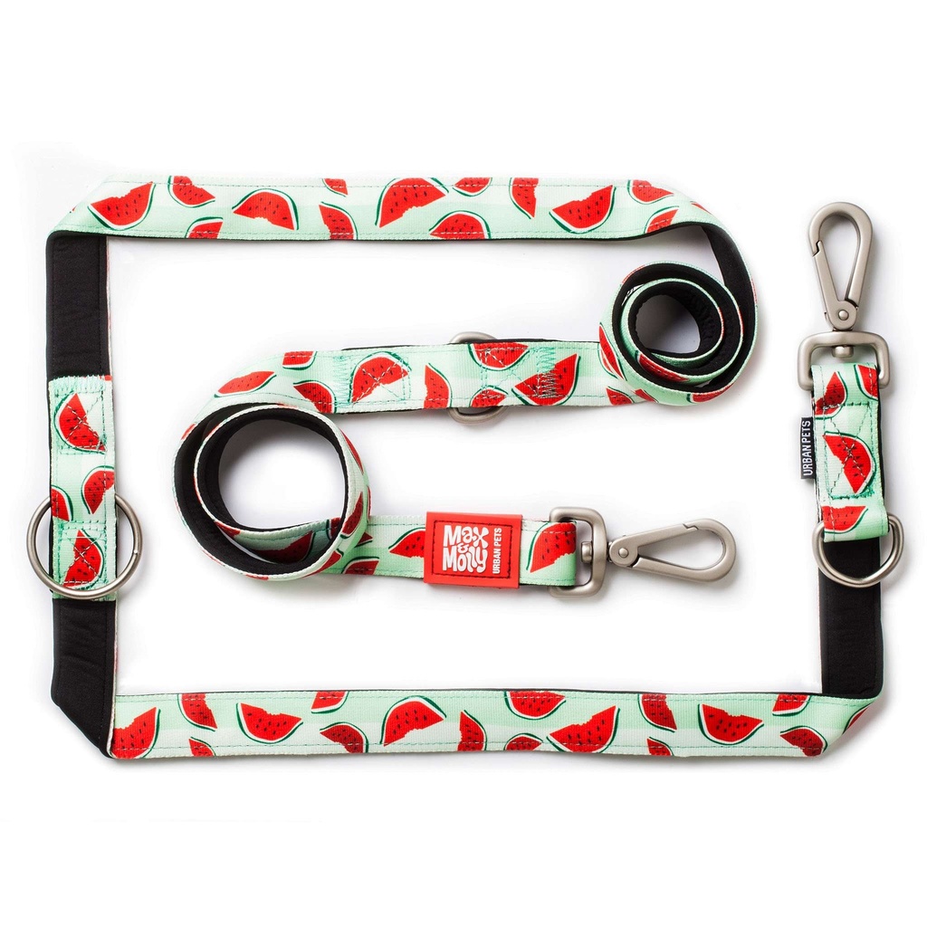 Multi-Function Leash - Watermelon/L