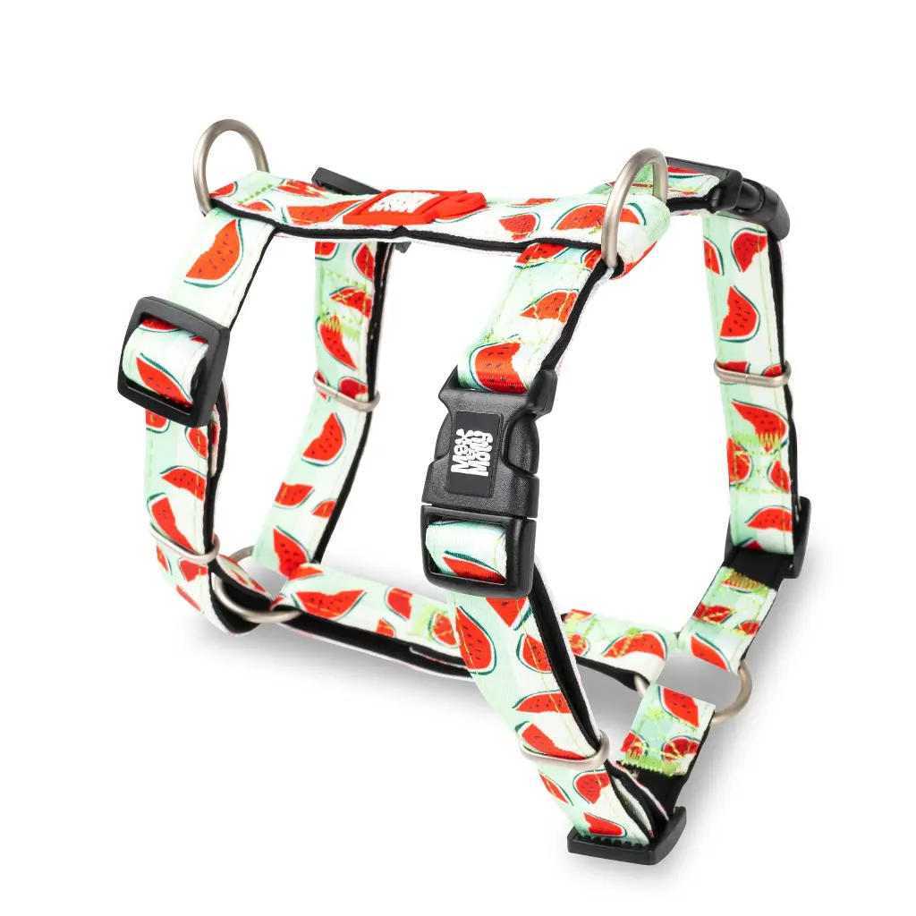 H-Harness - Watermelon/L