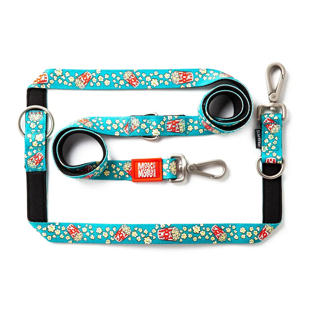 Multi-Function Leash - Popcorn/M