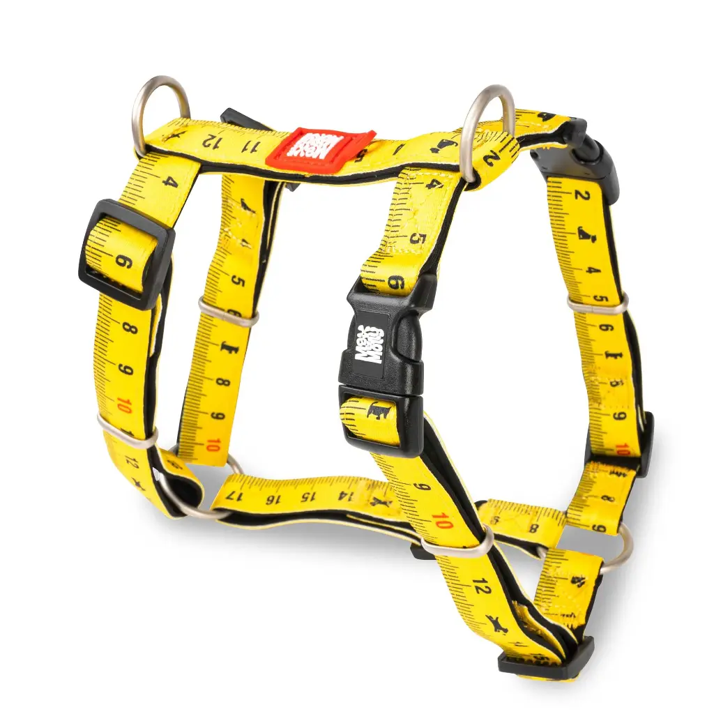 H-Harness - Ruler/XS 