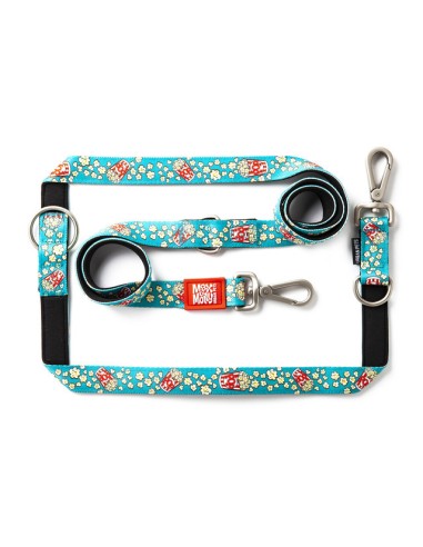 Multi-Function Leash - Popcorn/S