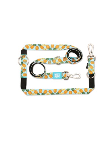 Multi-Function Leash - Sweet Pineapple/S