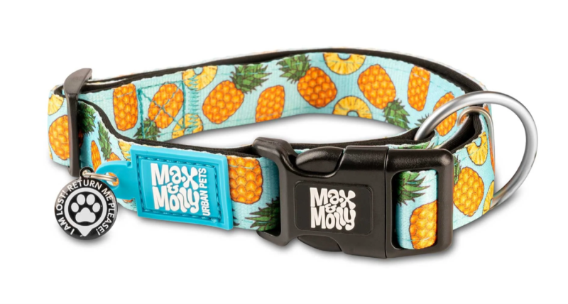 Smart ID Collar - Sweet Pineapple/M