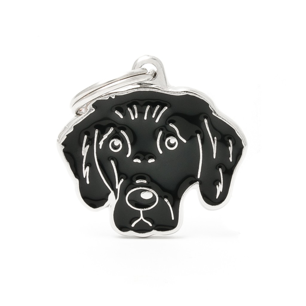Friends Flat Coated Retriever ID Tag