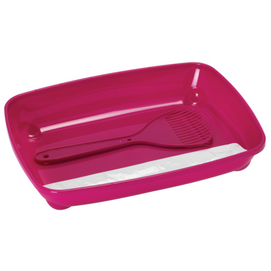 Moderna Kitten Starterkit -  Pink