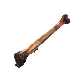 Natural Protein Ostrich Dog Mini Cave Man Bone 0.970