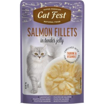 Cat Fest Salmon fillets in tender jelly, 70g - Cat Wet Food 1*12