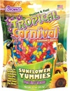 FM Browns Tropical Carnival Sunflower Yummies Bird Treat – 3.5 oz (99 g) 1x8