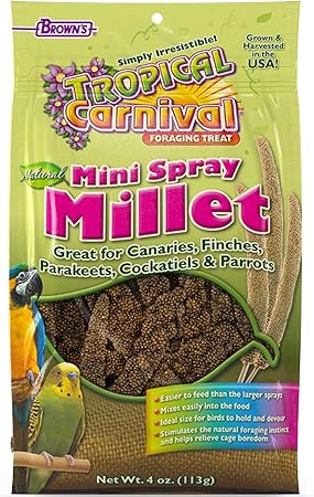 FM Browns Tropical Carnival Natural Mini Spray Millet Bird Treat – 4 oz (113 g) 1x24