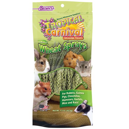 FM Browns Tropical Carnival Natural Wheat Sprays Small Animal Treat – 1.5 oz (43 g) 1*8