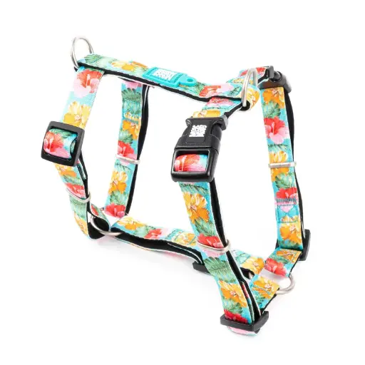 [Max & Molly] H-Harness - Exotique/XS