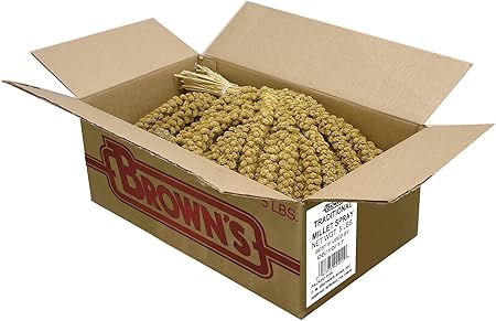 [424019] FM Browns Tropical Carnival Golden Millet Spray – 5 lb (2.27 kg) 1x1